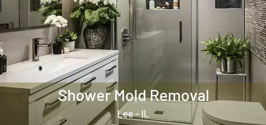 Shower Mold Removal Lee - IL