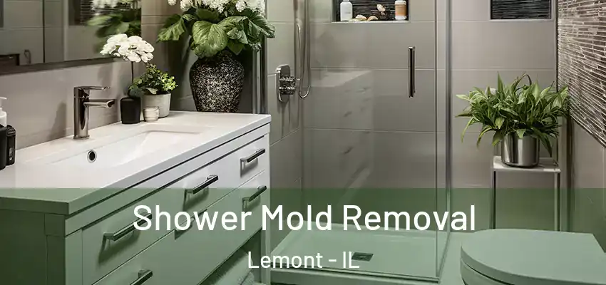 Shower Mold Removal Lemont - IL