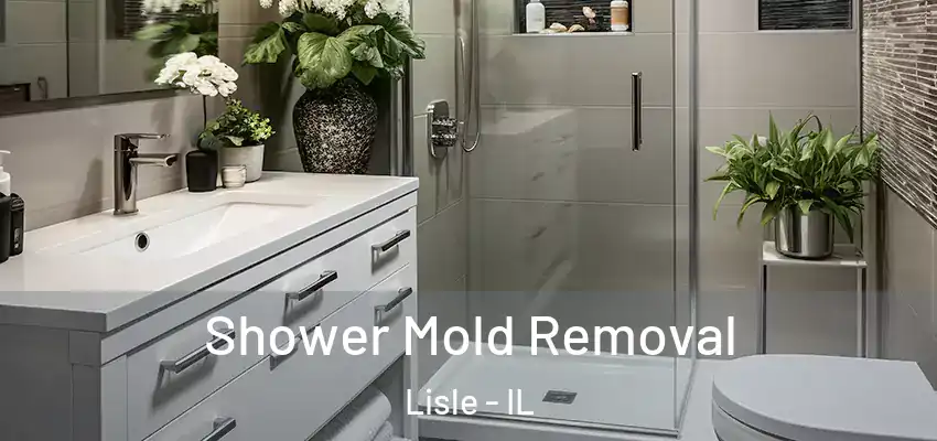 Shower Mold Removal Lisle - IL