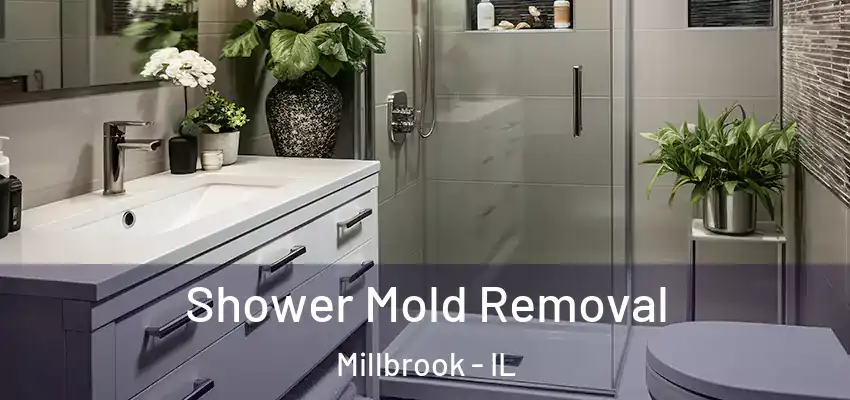 Shower Mold Removal Millbrook - IL