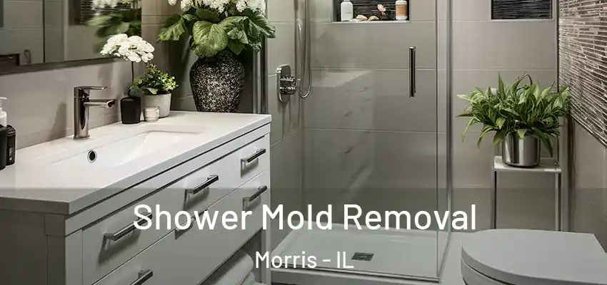 Shower Mold Removal Morris - IL