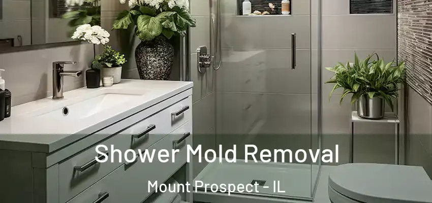 Shower Mold Removal Mount Prospect - IL