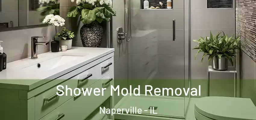 Shower Mold Removal Naperville - IL