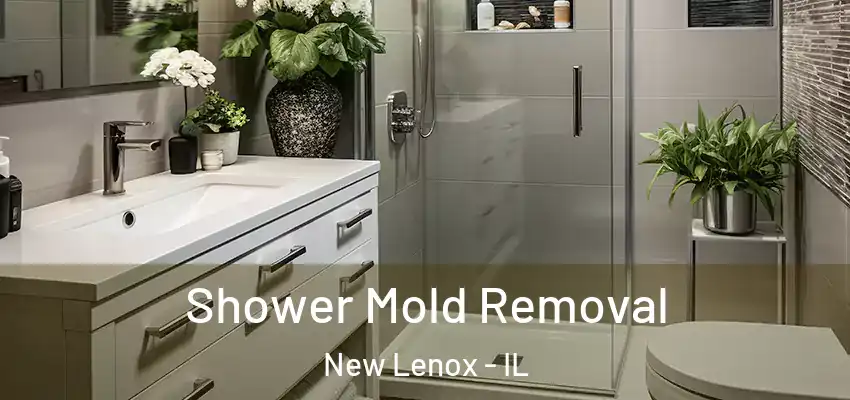 Shower Mold Removal New Lenox - IL