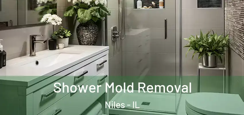  Shower Mold Removal Niles - IL