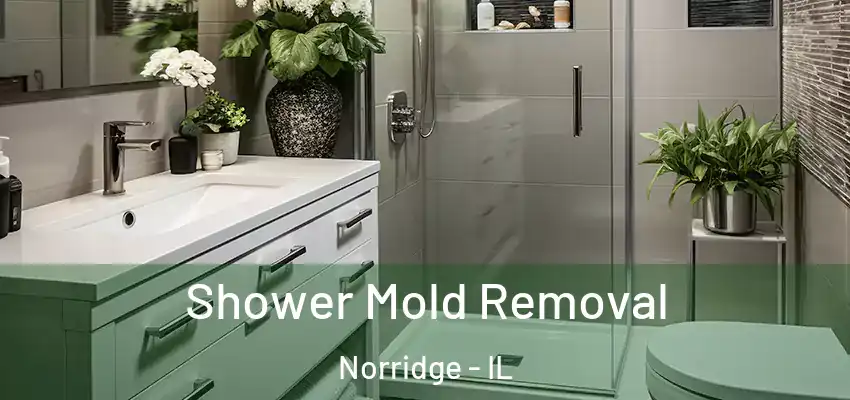 Shower Mold Removal Norridge - IL