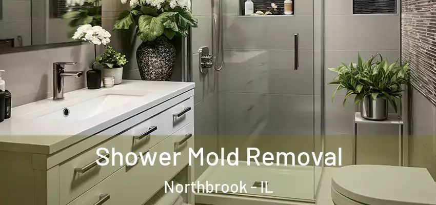Shower Mold Removal Northbrook - IL