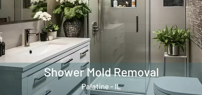 Shower Mold Removal Palatine - IL