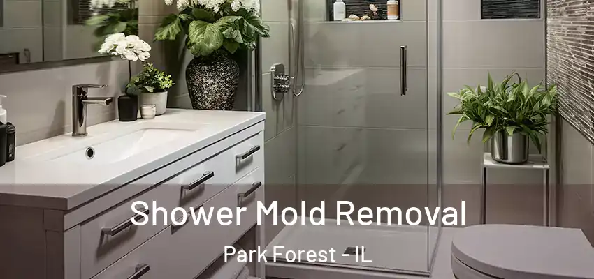  Shower Mold Removal Park Forest - IL