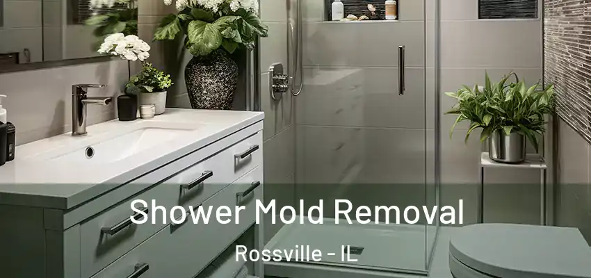  Shower Mold Removal Rossville - IL