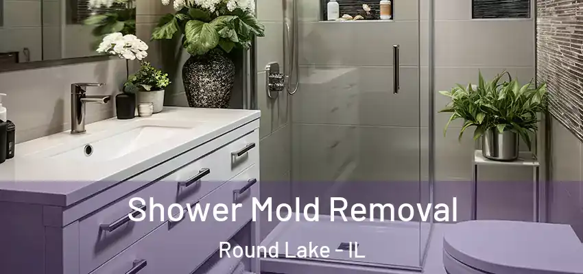 Shower Mold Removal Round Lake - IL