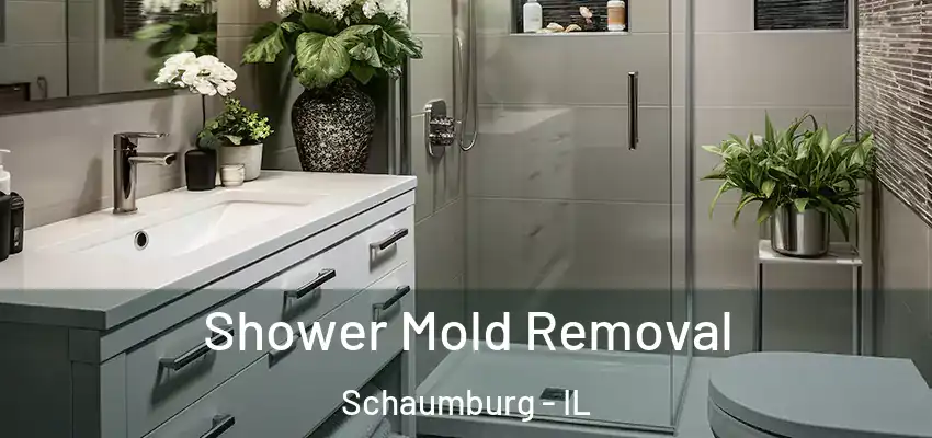  Shower Mold Removal Schaumburg - IL