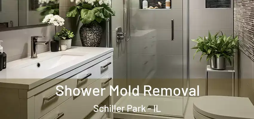 Shower Mold Removal Schiller Park - IL