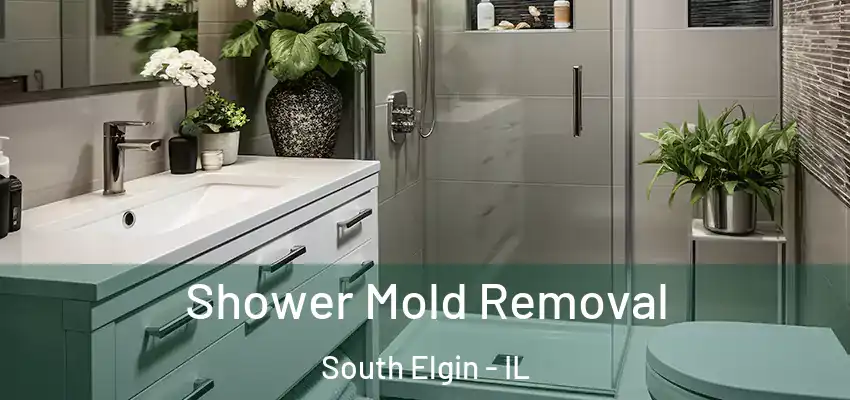 Shower Mold Removal South Elgin - IL