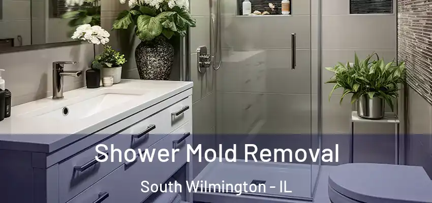 Shower Mold Removal South Wilmington - IL