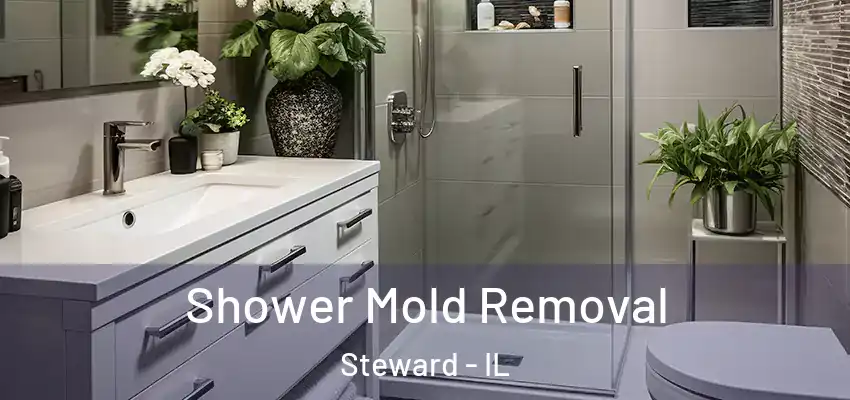  Shower Mold Removal Steward - IL