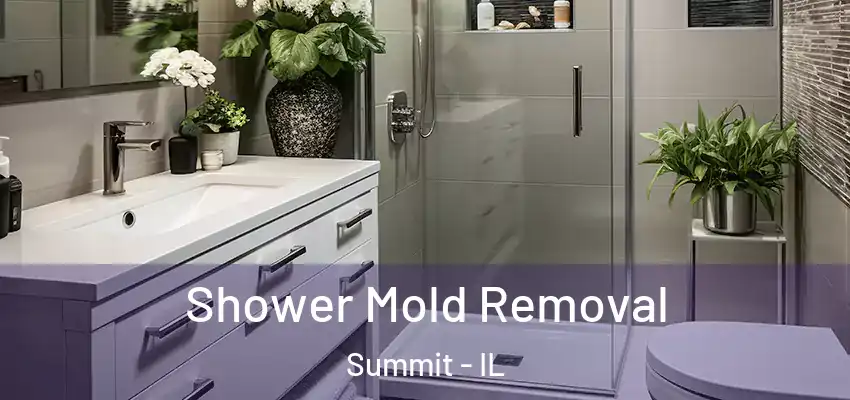  Shower Mold Removal Summit - IL