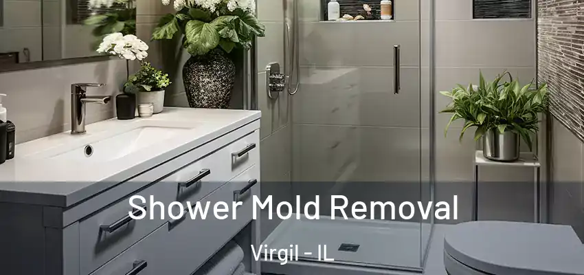  Shower Mold Removal Virgil - IL