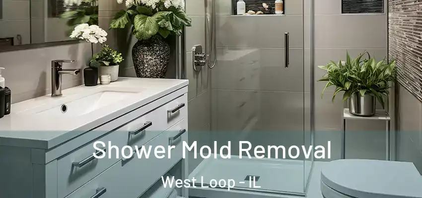  Shower Mold Removal West Loop - IL