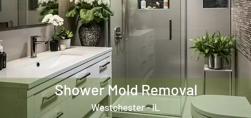  Shower Mold Removal Westchester - IL
