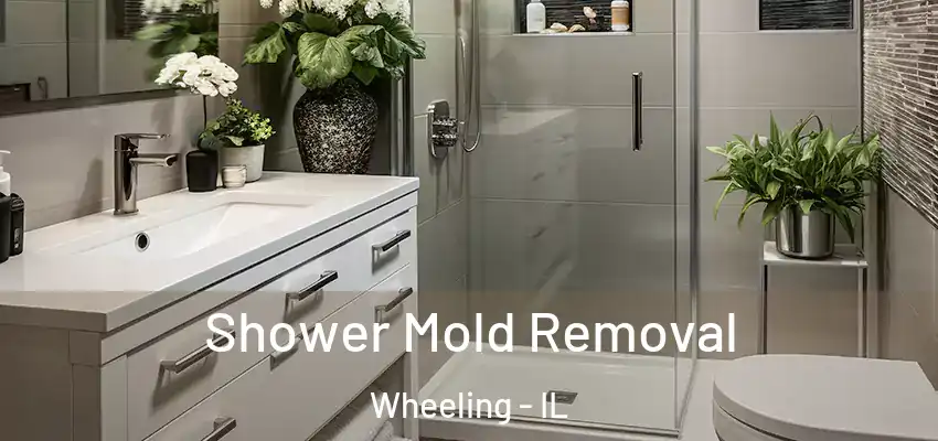 Shower Mold Removal Wheeling - IL