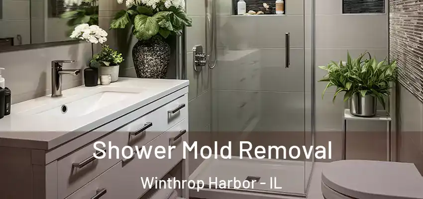 Shower Mold Removal Winthrop Harbor - IL