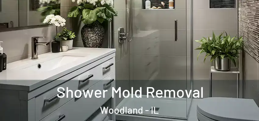 Shower Mold Removal Woodland - IL