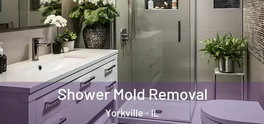 Shower Mold Removal Yorkville - IL